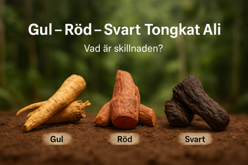 Gul, Röd och Svart Tongkat Ali