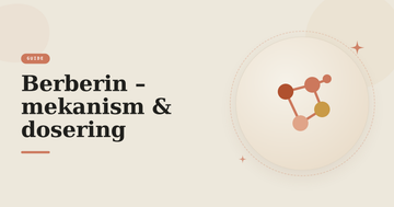 Illustration av en molekylstruktur – guide om berberin, dess mekanism via AMPK och dosering.