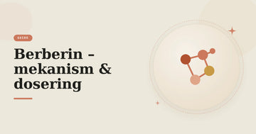 Illustration av en molekylstruktur – guide om berberin, dess mekanism via AMPK och dosering.