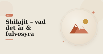 Illustration av bergstoppar och sol – guide om shilajit, fulvosyra och hur du känner igen kvalitet.