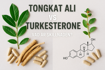 Visuell jämförelse av Tongkat Ali och Turkesterone – vänster sida visar Tongkat Ali-växt, rötter och kapslar, höger sida visar Turkesterone med växt, kapslar och kemisk struktur.
