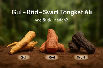 Gul, Röd och Svart Tongkat Ali