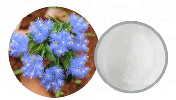 Ecdysterone i pulverform – kosttillskott