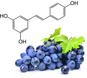 resveratrol fördelar